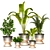 Green Thumb Indoor Plant Set 3D model small image 1