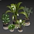 Green Thumb Indoor Plant Set 3D model small image 3