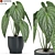 517 Plants Collection: Stunning Variety 3D model small image 1