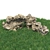 360° Scanned Landscape Stones 3D model small image 1