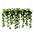 Epipremium Hanging Plants in Rectangular Planter 3D model small image 1