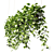 Epipremium Hanging Plants in Rectangular Planter 3D model small image 2