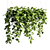 Epipremium Hanging Plants in Rectangular Planter 3D model small image 3