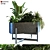 Elegant Plant Box Set 062 3D model small image 1