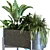 Elegant Plant Box Set 062 3D model small image 2