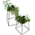 Elegant Plant Vase Set 3D model small image 5