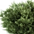 Artificial Needle Leaf Bush Set 3D model small image 3