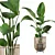 Striking Strelitzia: Plants Collection 103 3D model small image 1