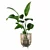 Striking Strelitzia: Plants Collection 103 3D model small image 2