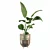 Striking Strelitzia: Plants Collection 103 3D model small image 3