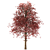 Amur Maple Tree - Stunning Beauty 3D model small image 3