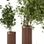 Wooden Pot Indoor Plant Set 3D model small image 4