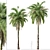 Exquisite Set: 2 Kentia Palm Trees 3D model small image 4