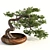 Bonsai Master Kit: 3D Model & Render 3D model small image 2