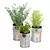 Fresh Herb Trio for the Kitchen 3D model small image 2