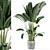 Rustic Concrete Pot with Indoor Plants - Set 124 3D model small image 1