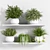 Botanical Bliss: Indoor Plant Set 3D model small image 1