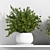 Botanical Bliss: Indoor Plant Set 3D model small image 4