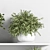 Botanical Bliss: Indoor Plant Set 3D model small image 6