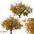 Hangzhou Elm Tree Set (2 Trees) 3D model small image 1
