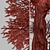 Hangzhou Elm Tree Set (2 Trees) 3D model small image 2
