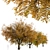 Hangzhou Elm Tree Set (2 Trees) 3D model small image 5