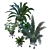 Green Living: Indoor Plant Vol 01 3D model small image 2