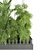 Vol 190 Plant Collection: High-Quality, Lightweight 3D model small image 3