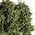 Lush Greenery: Outdoor Hanging Plants 3D model small image 2