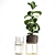 Tropical Plant Collection: Exotic Ficus Lyrata in Stylish Zara Home Pot 3D model small image 5