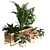 Lush Indoor Plant Set 3D model small image 3