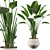 Exquisite Strelitzia: Plants Collection 105 3D model small image 1