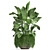 Tropical Plant Collection 3D model small image 6