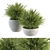 Fresh Green Grass in Pot 3D model small image 1