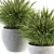 Fresh Green Grass in Pot 3D model small image 3