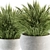 Fresh Green Grass in Pot 3D model small image 4
