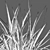 Elegant Pendulous Sedge - 3D Models 3D model small image 3