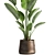 Tropical Plant Collection: Exotic Indoor & Outdoor Decor 3D model small image 3