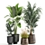 Exotic Plant Collection in Stylish Pots 3D model small image 1