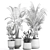 Exotic Plant Collection in Stylish Pots 3D model small image 6