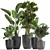 Tropical Plant Collection: Exotic Indoor & Outdoor Greenery 3D model small image 1