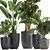 Tropical Plant Collection: Exotic Indoor & Outdoor Greenery 3D model small image 2