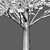 Carpinus Betulus Bundle - 3D Tree Models 3D model small image 3