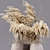 Desiccated Plant Collection 3D model small image 4