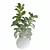 Ficus Lyrata: Exquisite Foliage in Felt Pot 3D model small image 2