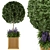 Wooden Pot Bush and Tree Set - Outdoor Plants 3D model small image 2