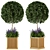 Wooden Pot Bush and Tree Set - Outdoor Plants 3D model small image 3