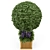 Wooden Pot Bush and Tree Set - Outdoor Plants 3D model small image 4