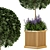 Wooden Pot Bush and Tree Set - Outdoor Plants 3D model small image 5