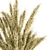 Decorative Dried Wheat Bundle 3D model small image 2